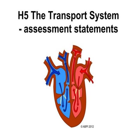 Assessment statements   h5