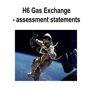 Assessment statements   h6