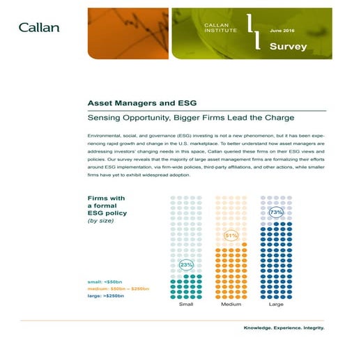 Callan DC Survey Key Findings 2017 | PDF