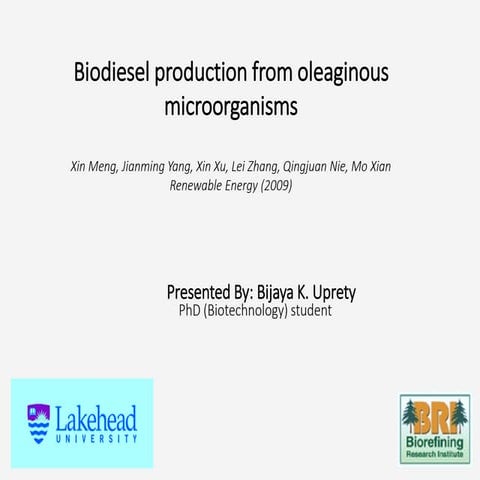 Biodiesel production from oleaginous microorganisms