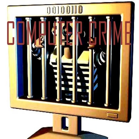computer crime