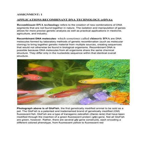 RECOMBINANT DNA AMPLICATION