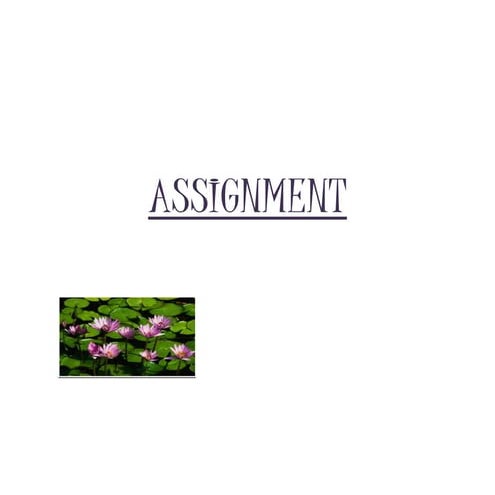 Assignment