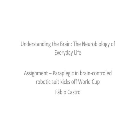 Assignment   fabio castro