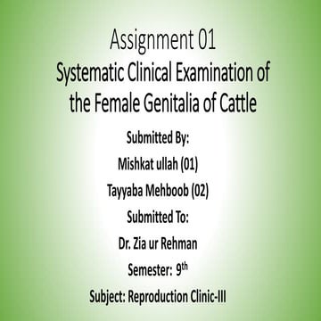 Systemic clinical Examination of Female Genetelia of cattle.pptx