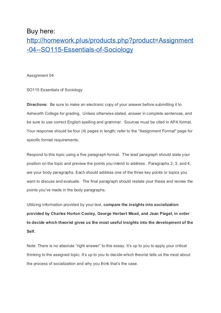 Sociology essay pdf image