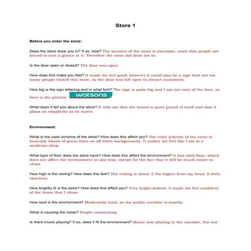 OBSERVATION IN A RETAIL STORE | DOCX