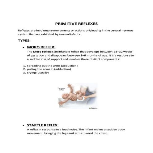 Primitive Reflexes 
