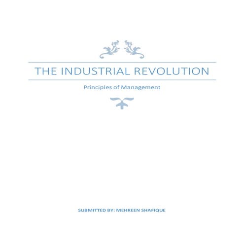 The industrial revolution