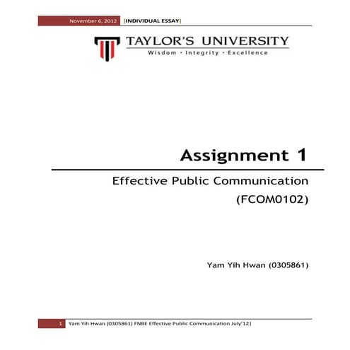 Assignment 1： individual essay