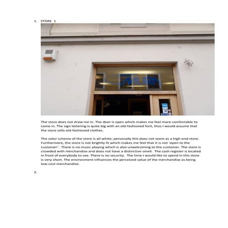 My shopping experience assignment | PDF