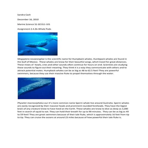 Assignment 2.4.2b whale pods