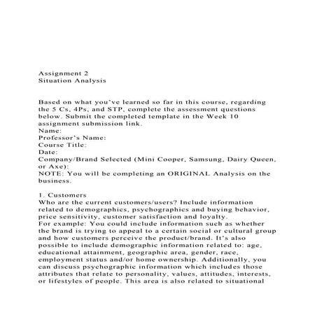 Assignment 2Situation AnalysisBased on what you’ve.docx