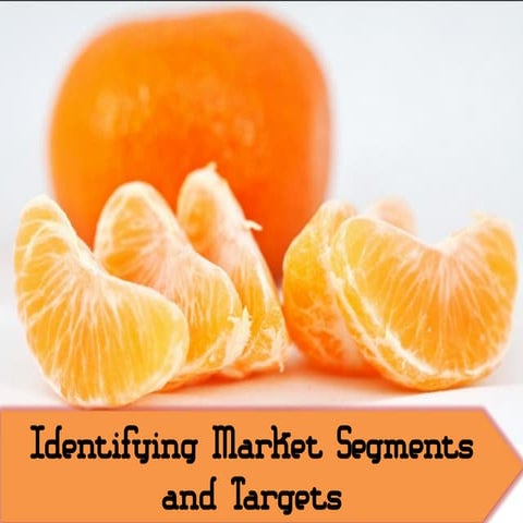 Requirements for Effective segmentation