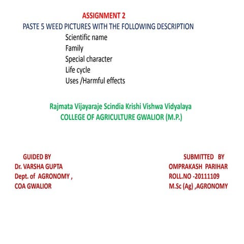 MAJOR WEED DESCRIPTION 