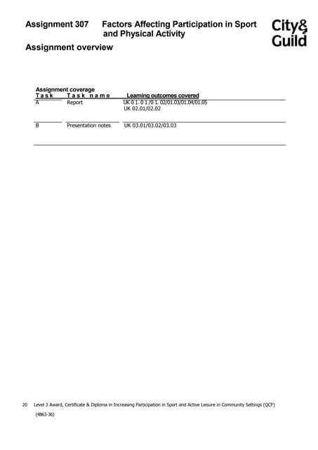 Assignment 307 plan