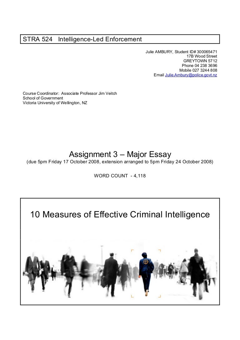 How to make essays longer image