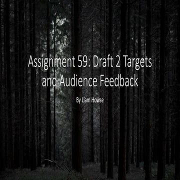 Assignment 59: Draft 2 Targets and Audience Feedback