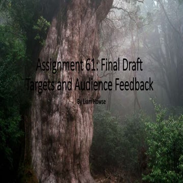 (Planning) Assignment 61: Final Draft Targets and AF