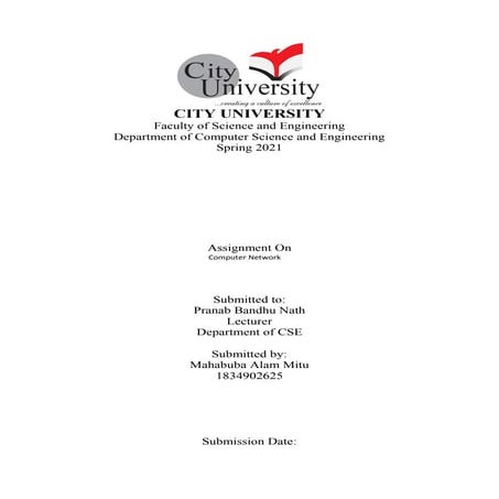 Report on science computer assignment | PDF