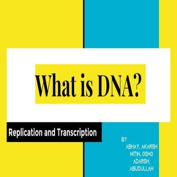 dna transcription and the translation.pptx
