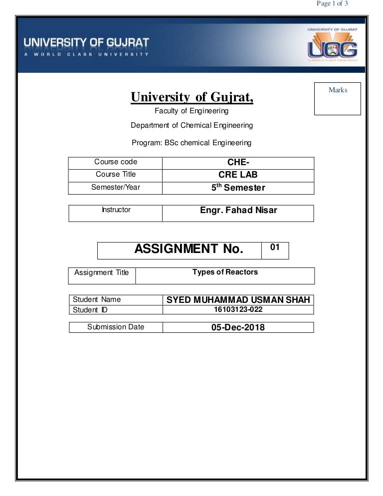 Assignment lab report picture