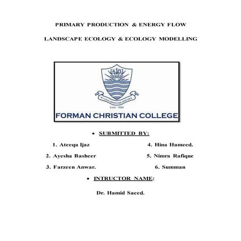 Primary and secondary production, landscape ecology and ecological modeling.