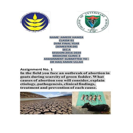 Causes of outbreak of an abortion in goats during the scarcity of green fodder