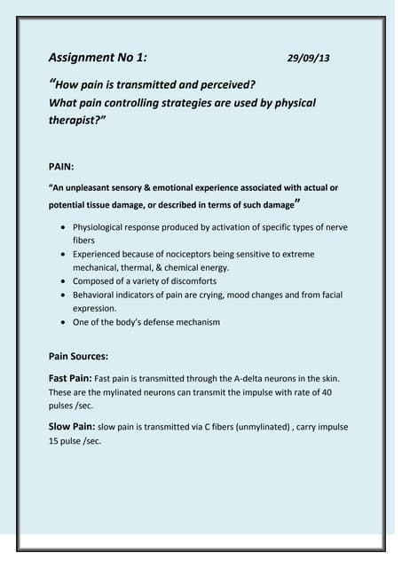 Theories of pain | PDF