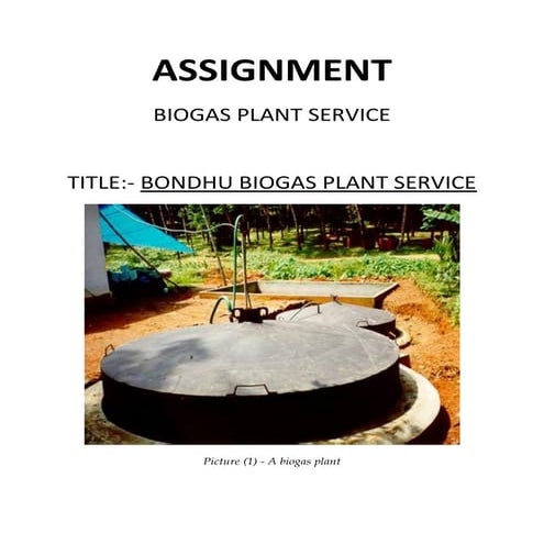 Assignment on new business idea