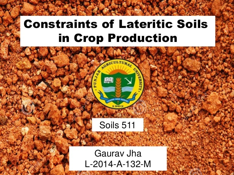 Lateritic Soils and Constraints in crop production