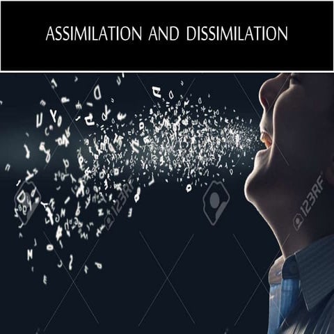 Assimilation and Dissimilation