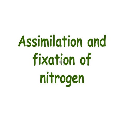 Assimilation n Nitrogen fixation.ppt