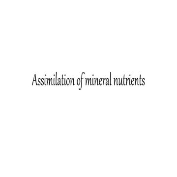 Assimilation of mineral_nutrients_(2)