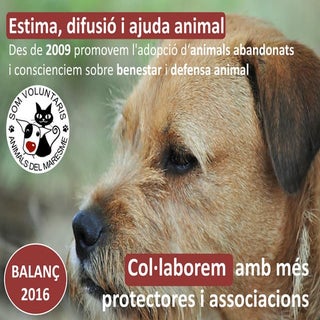 Amics dels Animals del Maresme: act...