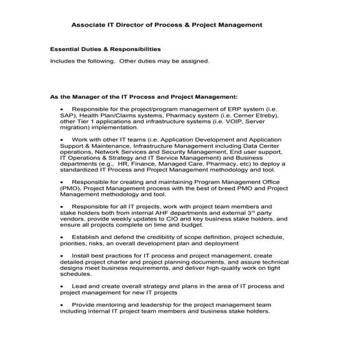 Associate IT Director Process and Project Management