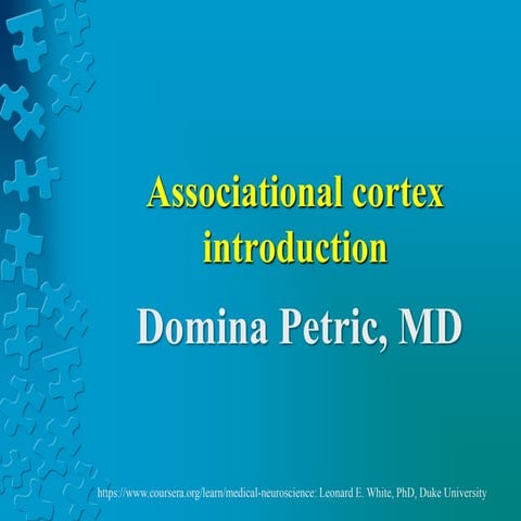 Associational cortex introduction