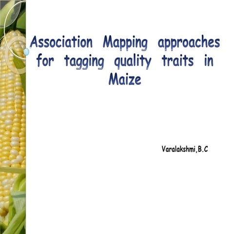 Association mapping approaches for tagging quality traits in maize