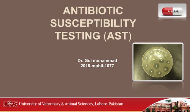 Antibiotic sensitivity testing (AST) 