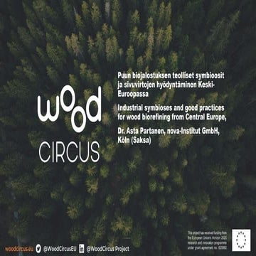 Asta Partanen: Puun biojalostuksen teolliset symbioosit ja sivuvirtojen hyödy...