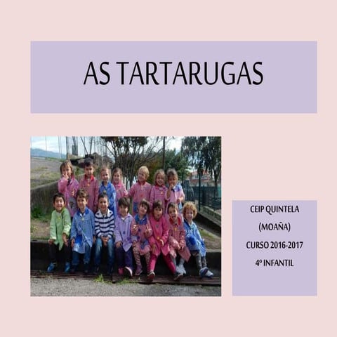 As tartarugas