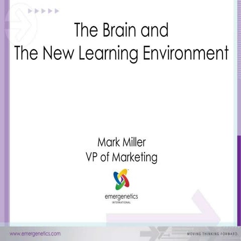 ASTD NY - Tailoring e-learning using Neuroscience and Work Styles
