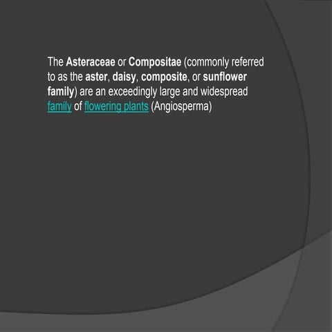Asteraceae.pptx