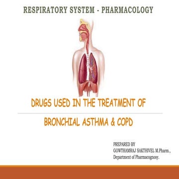 Anti Pyretic Drugs | PPTX