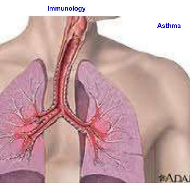 Asthma2