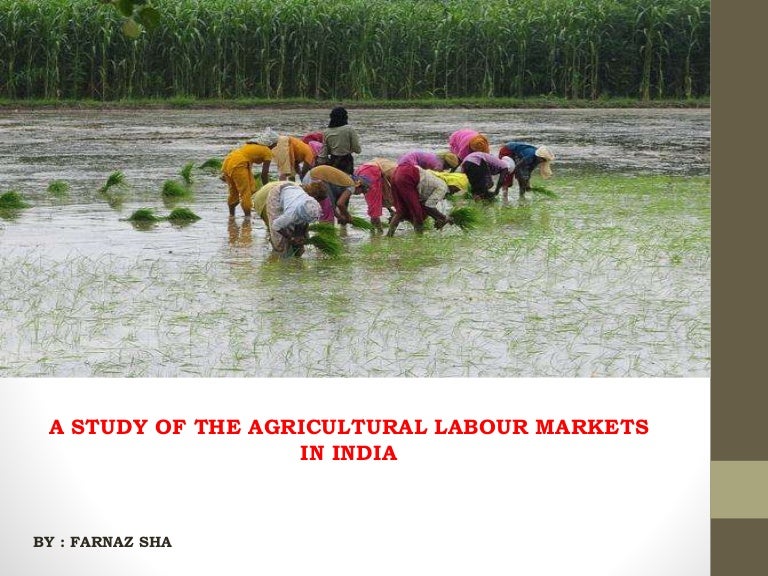 A Study of Agricultural Labour Markets in India