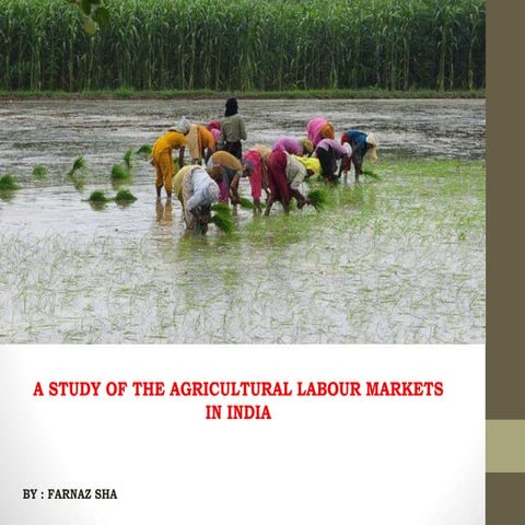 A Study of Agricultural Labour Markets in India