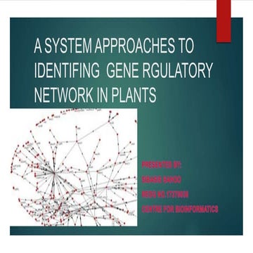 Gene regulatory networks | PPT