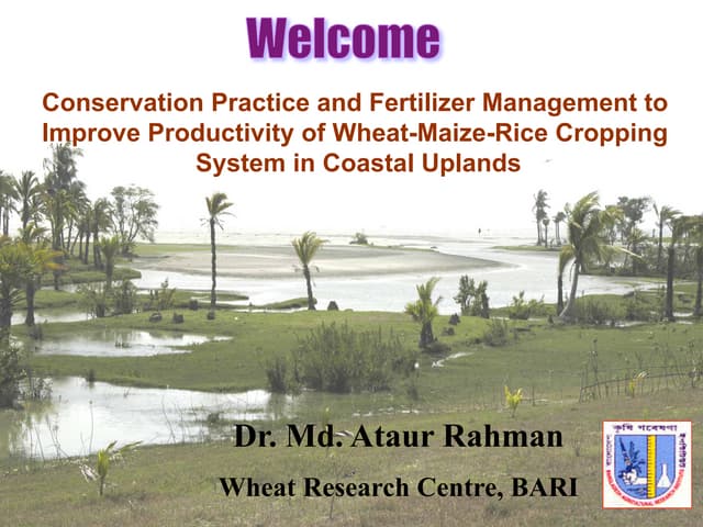 Conservation Practice and Fertilizer Management to Improve Productivity of Wheat-Maize-Rice Cropping System in Coastal Uplands
