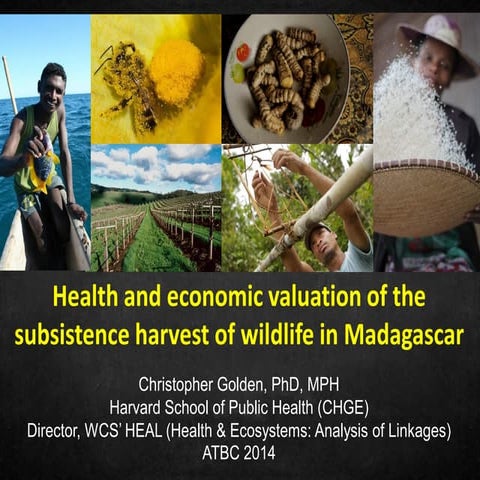Health and economic valuation of the subsistence harvest of wildlife in Madag...